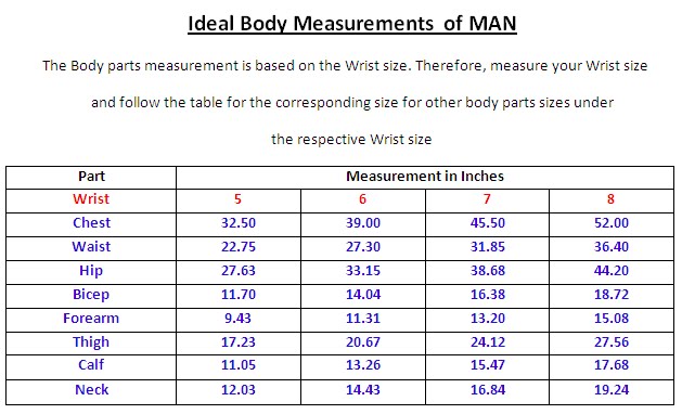 Measurements to Percent Fat Apr 21, · Tom Venuto looks at exactly what are the ideal body measurements for men and women. Chest Size = % of pelvis size; Waist size = 86% of pelvis size Good BMI. Are they average-good-or better? Upper body strength very good. Reply; reply; Posted Sat, 03/31/ - LIKE. ; Tadgh. Is the upper arm measurement meant to be taken Author: Tom Venuto.